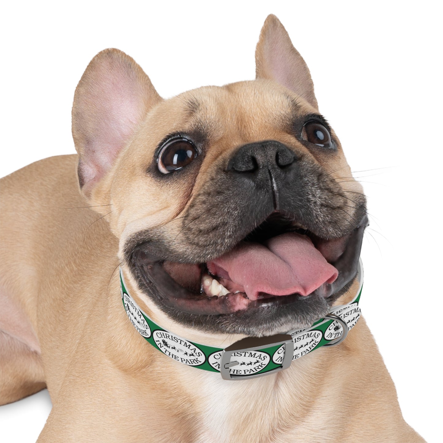 Christmas Dog Collar, Holiday Pet Accessory, Festive Dog Gear, Seasonal Pet Collar, Dog Fashion for Christmas, Gift for Dog Lovers