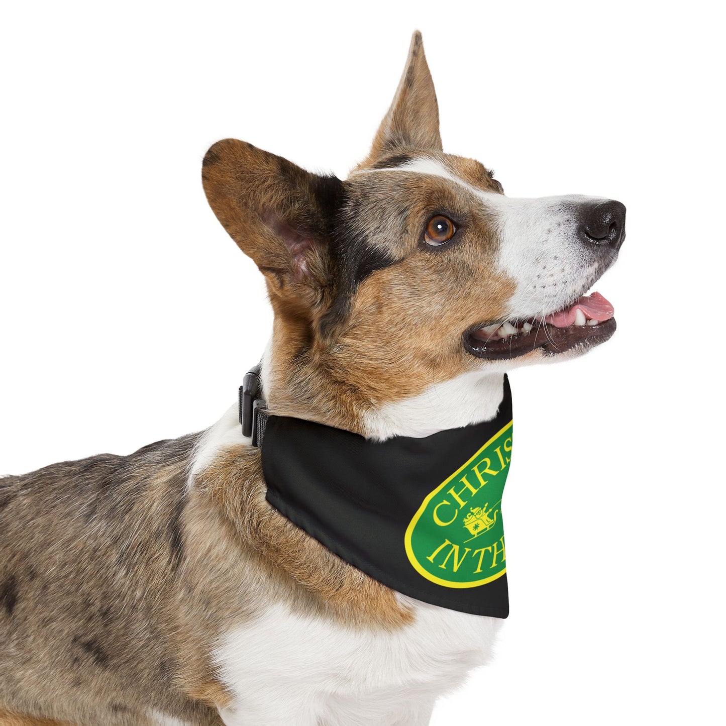 Christmas in the Park Pet Bandana Collar