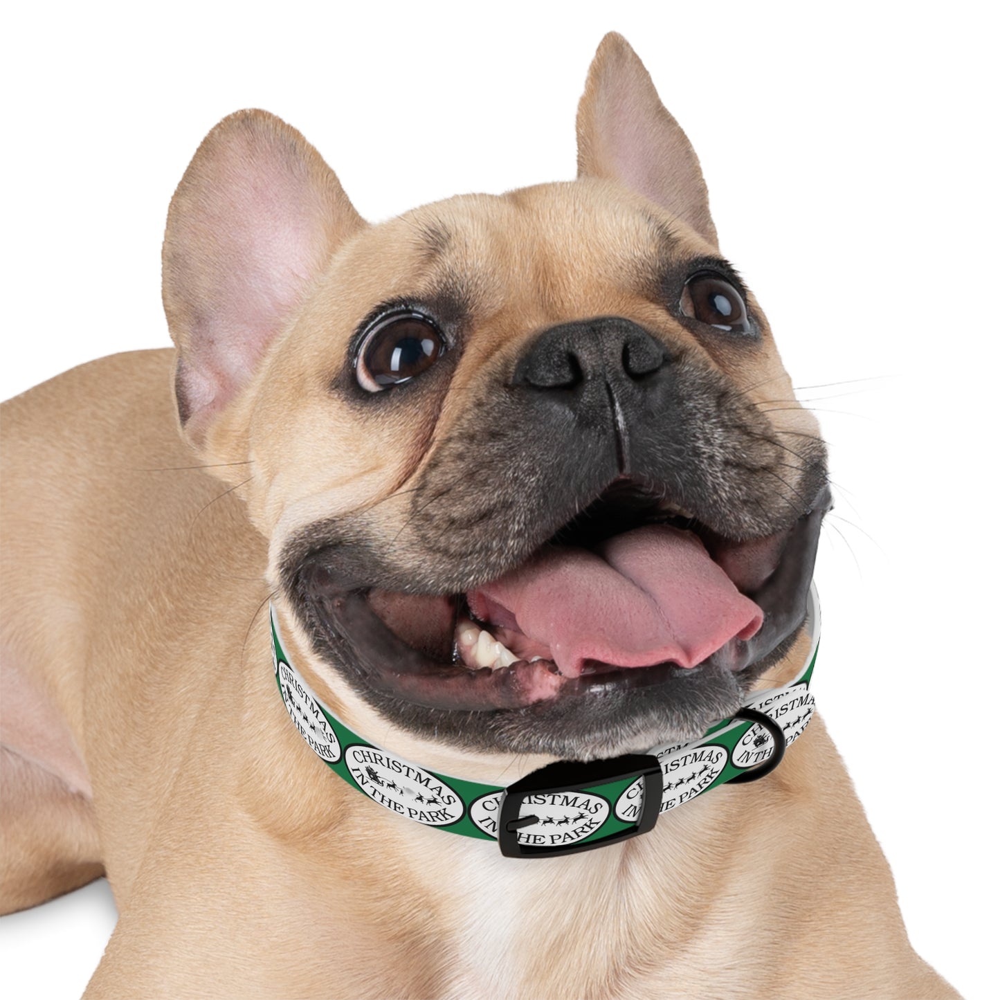 Christmas Dog Collar, Holiday Pet Accessory, Festive Dog Gear, Seasonal Pet Collar, Dog Fashion for Christmas, Gift for Dog Lovers