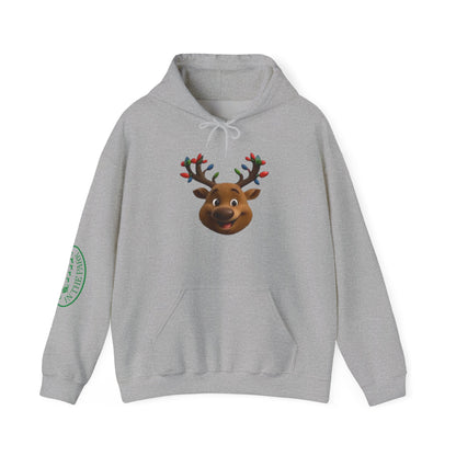 Blinky Christmas in the Park Mascot Hoodie