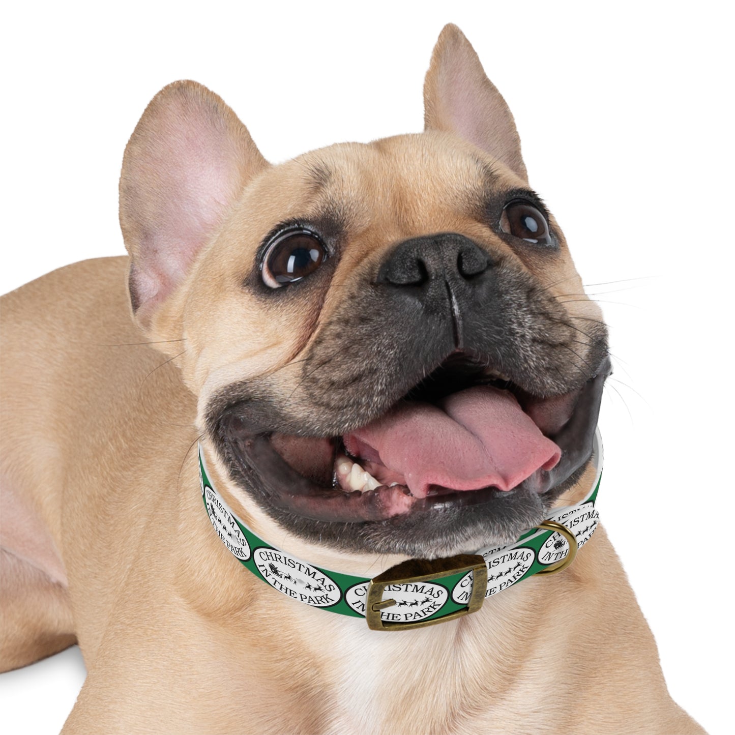 Christmas Dog Collar, Holiday Pet Accessory, Festive Dog Gear, Seasonal Pet Collar, Dog Fashion for Christmas, Gift for Dog Lovers