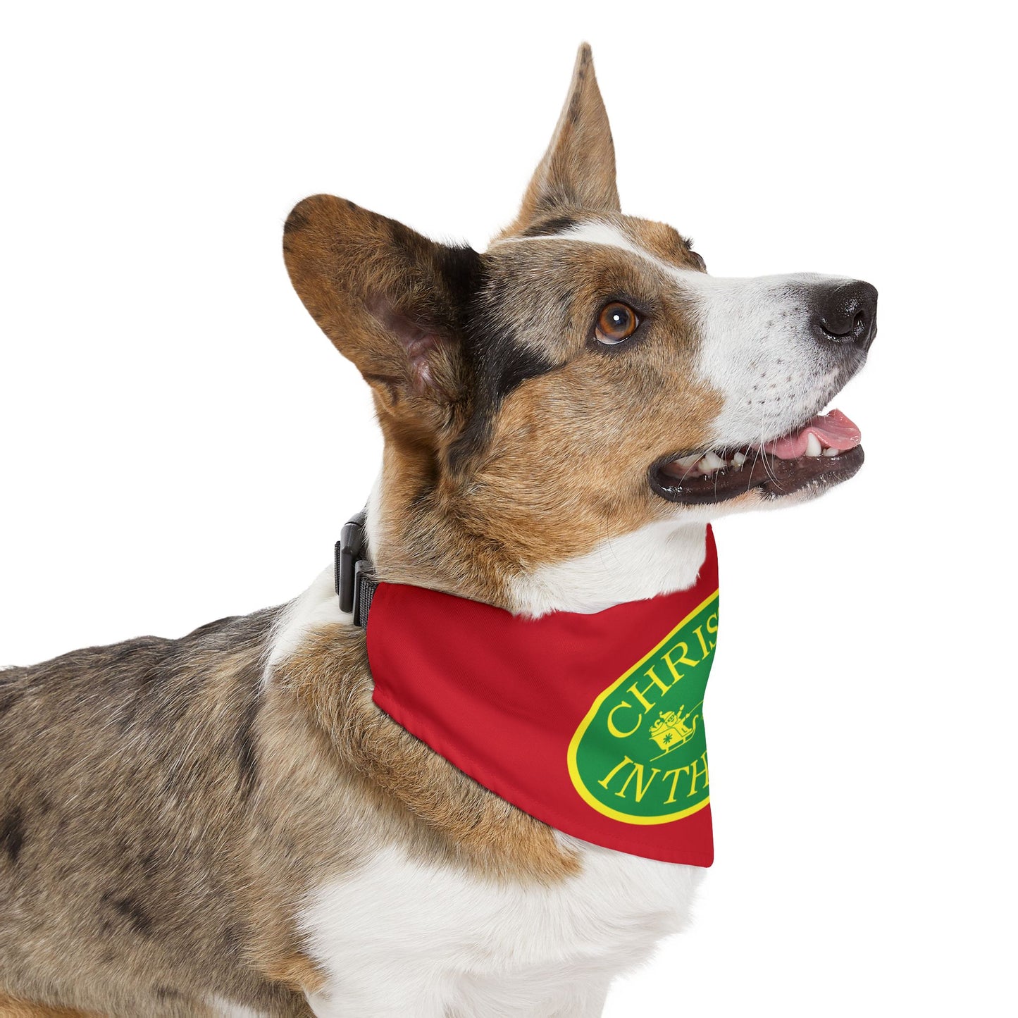 Christmas in the Park Pet Bandana Collar