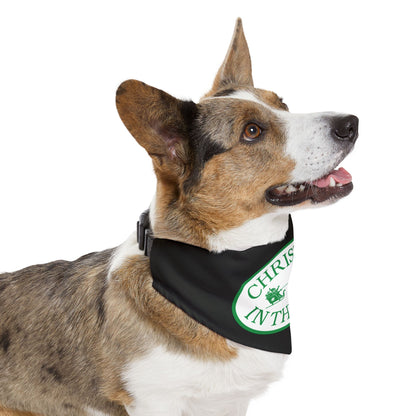 Christmas in the Park Pet Bandana Collar