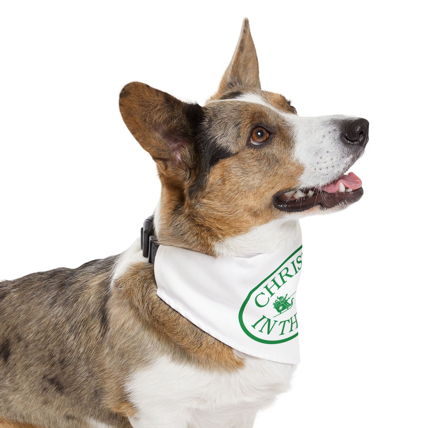 Christmas in the Park Pet Bandana Collar